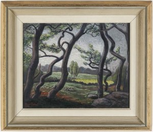 Hornhinden